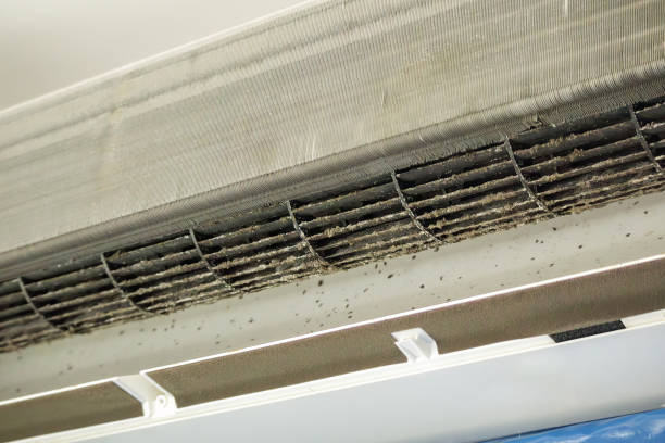 Best Air Vent Cleaning Services  in Oroville, WA